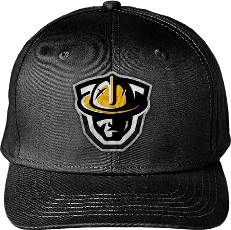 Junior Steelers Hat - Classic 6 Panel